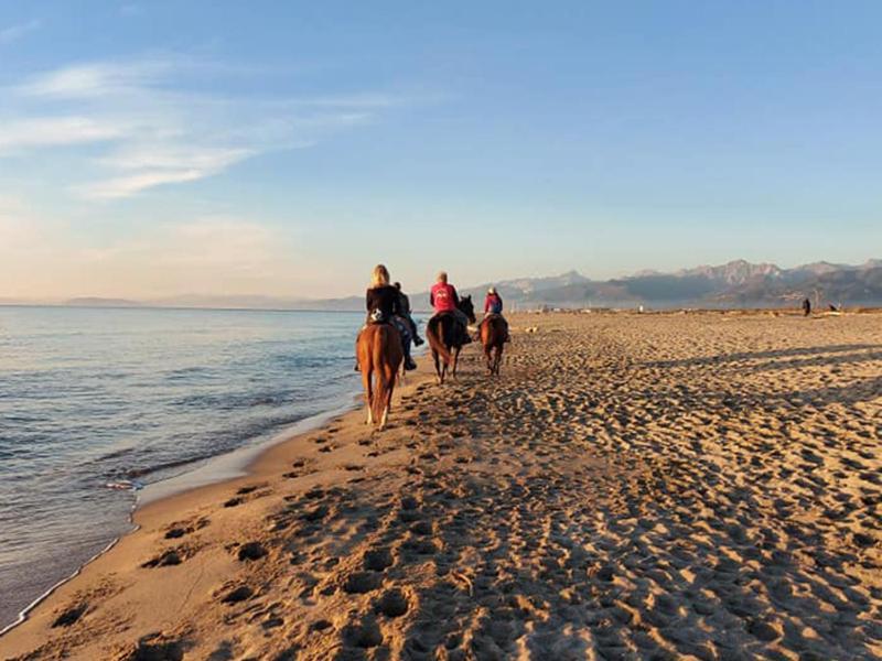 I Levrieri Ξενοδοχείο Torre del Lago Puccini Εξωτερικό φωτογραφία